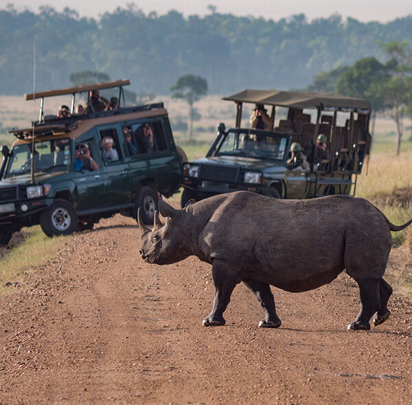 3-Day Private Budget Safari