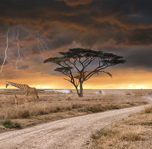 7 Days Camping Safari