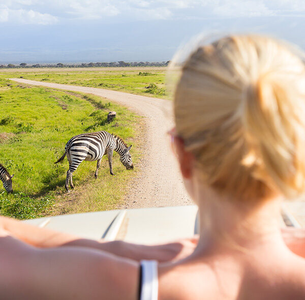 2 Days Manyara & Ngorongoro